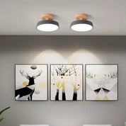 Lampa Sufitowa LED Półpłaska