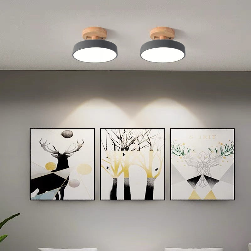 Lampa Sufitowa LED Półpłaska