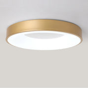 Prosta Lampa Sufitowa LED | Regulowany Kolor