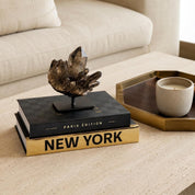 Decorative Storage Book Set (Black and Gold)